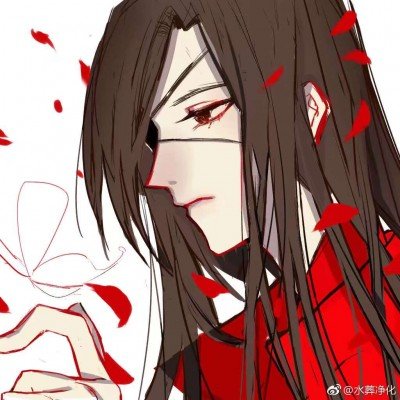 对伊战争如何暴露美国“政治撕裂”